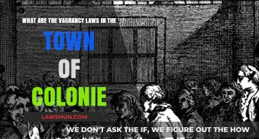 Understanding Colonie's Vagrancy Laws: A Comprehensive Guide for Residents