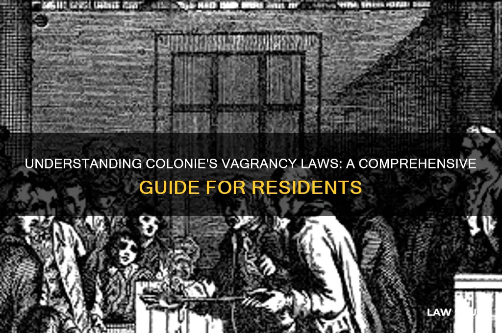 what are the vagrancy laws in the town of colonie