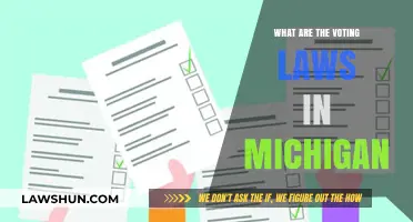 Understanding Michigan's Voting Laws: A Comprehensive Guide for Voters