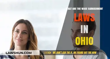 Ohio Wage Garnishment Laws: Understanding Your Rights and Limits