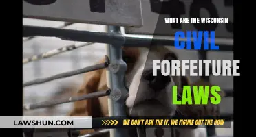 Understanding Wisconsin's Civil Forfeiture Laws: A Comprehensive Guide