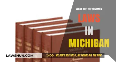 Understanding Michigan's Common Laws: Key Principles and Applications