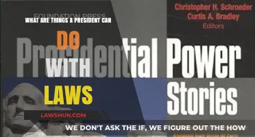 Presidential Powers: Shaping Laws and Their Impact