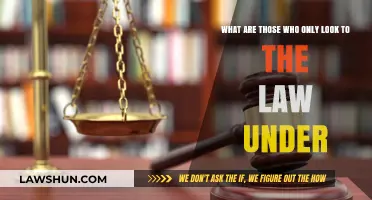Legal Dependence: Exploring Those Who Rely Solely on the Law