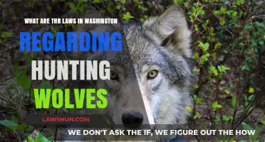 Washington Wolf Hunting Laws: Regulations, Permits, and Conservation Guidelines