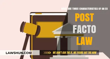 Understanding Ex Post Facto Laws: Key Characteristics and Implications
