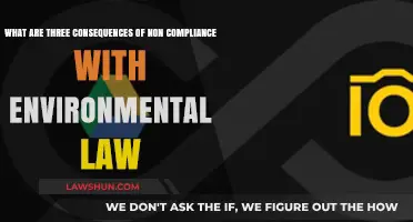 Environmental Law Non-Compliance: Severe Consequences for Ecosystems and Businesses