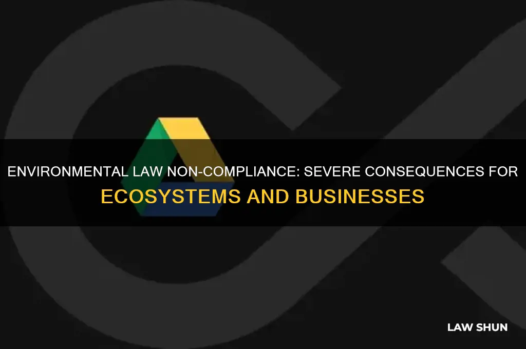 what are three consequences of non compliance with environmental law