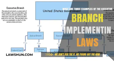 Executive Branch in Action: Three Key Examples of Law Implementation