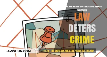 Does Law Deter Crime? Exploring Key Factors Shaping Effectiveness