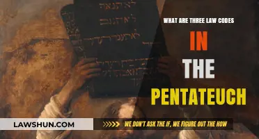 Exploring the Three Ancient Law Codes in the Pentateuch