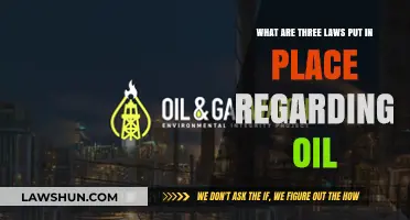 Key Oil Industry Regulations: Three Laws Shaping Energy Policies