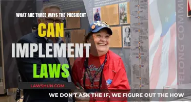 Presidential Powers: Implementing Laws in Three Ways