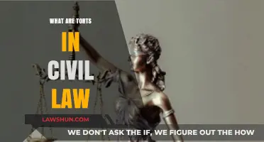 Understanding Torts: Key Concepts in Civil Law Explained Simply