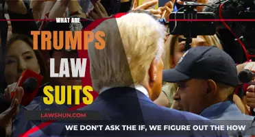 Trump's Legal Battles: Unraveling the Former President's Lawsuits