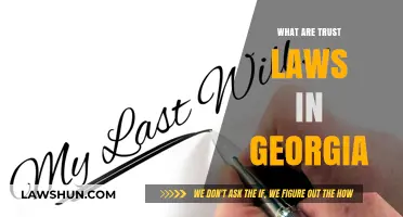 Understanding Georgia's Trust Laws: A Comprehensive Guide for Residents