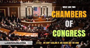 Understanding the Two Chambers of Congress: A Comprehensive Guide
