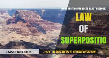 Uncovering Earth's Secrets: Fun Facts About the Law of Superposition
