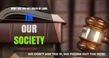 Understanding Laws: Two Essential Roles in Shaping Society's Structure