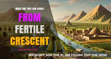 Exploring Ancient Fertile Crescent: Two Landmark Law Codes Unveiled