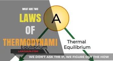Exploring the Fundamental Laws of Thermodynamics: A Comprehensive Guide