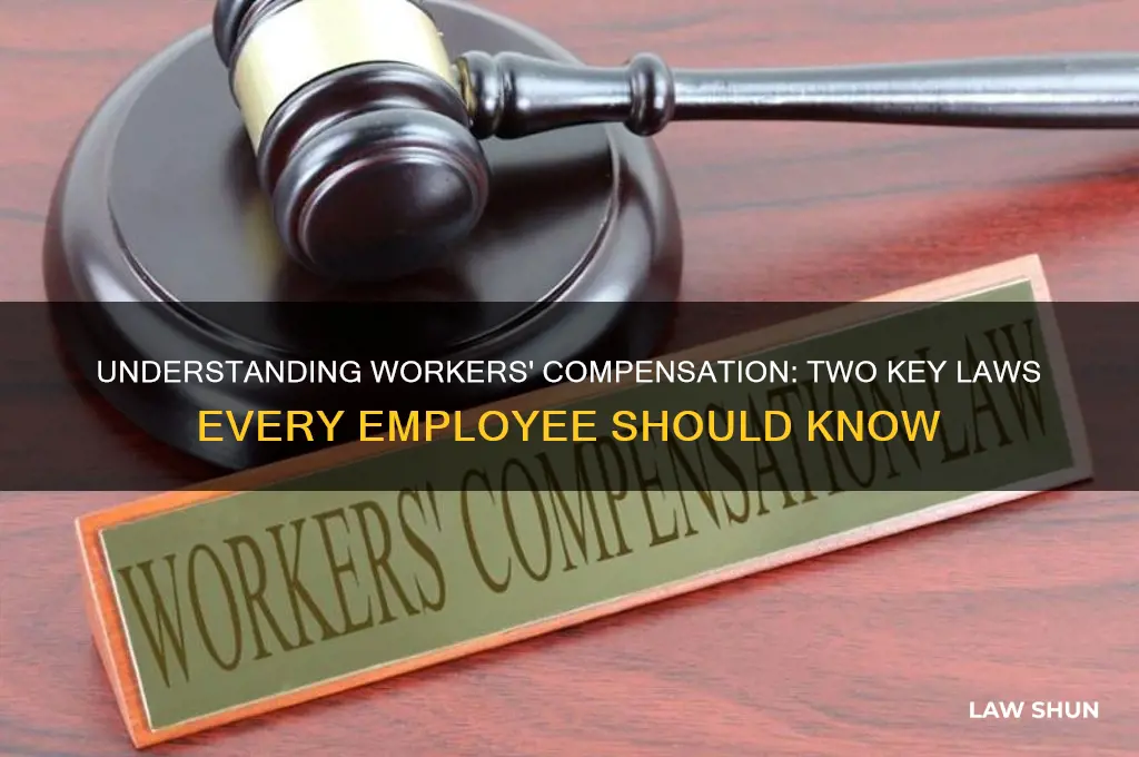 what are two laws related to workers compensation