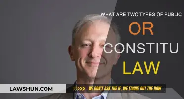 Constitutional Law: Two Key Types Explained