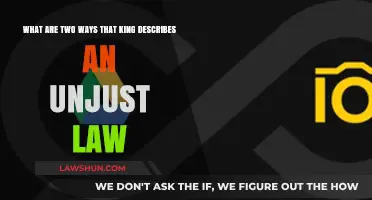 Unjust Laws: King's Dual Critique of Inequality and Oppression