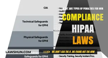 HIPAA Non-Compliance Penalties: Types and Consequences Explained