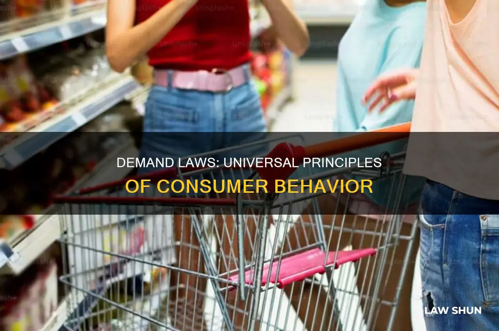 what are universal demand laws