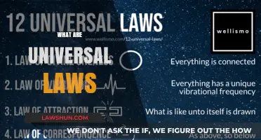 Exploring Universal Laws: Understanding the Fundamentals