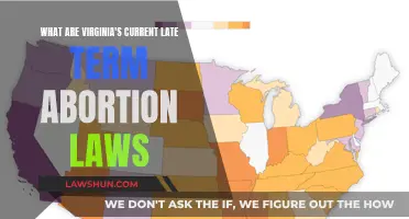 Virginia's Current Late-Term Abortion Laws: What You Need Know