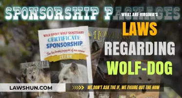 Virginia's Wolf-Dog Laws: Ownership, Regulations, and Legal Requirements Explained