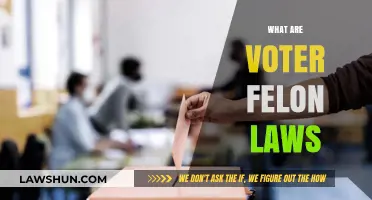 Understanding Voter Felon Laws: Rights, Restrictions, and Rehabilitation Explained