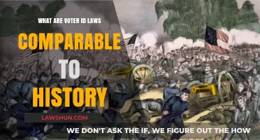 Voter ID Laws: Echoes of Historical Voter Suppression Tactics