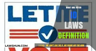 Understanding Voter ID Laws: Definition, Purpose, and Impact Explained