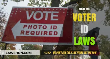 Understanding Voter ID Laws: Purpose, Impact, and Controversies Explained