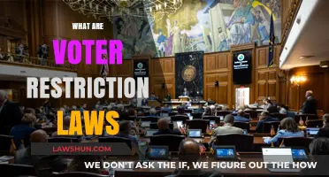 Understanding Voter Restriction Laws: Impact on Democracy and Voting Rights