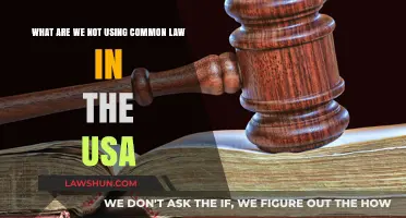 Why the US Doesn't Use Common Law