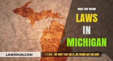 Unusual Michigan Laws: Strange Rules You Won't Believe Exist