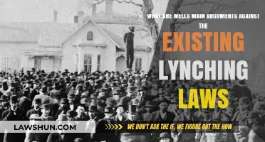 Wells' Critique: Exposing the Failures of Lynching Laws