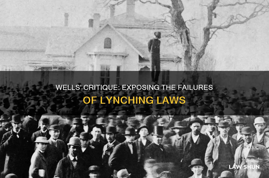 what are wells main arguments against the existing lynching laws