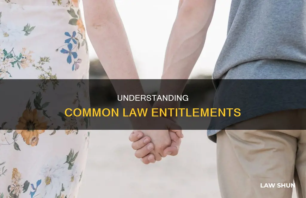 what are you entitled to in a common law relationship