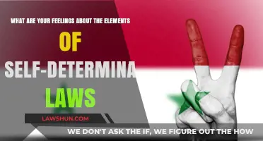 Exploring Self-Determination Laws: Empowering Individuals, Shaping Futures, and Fostering Autonomy