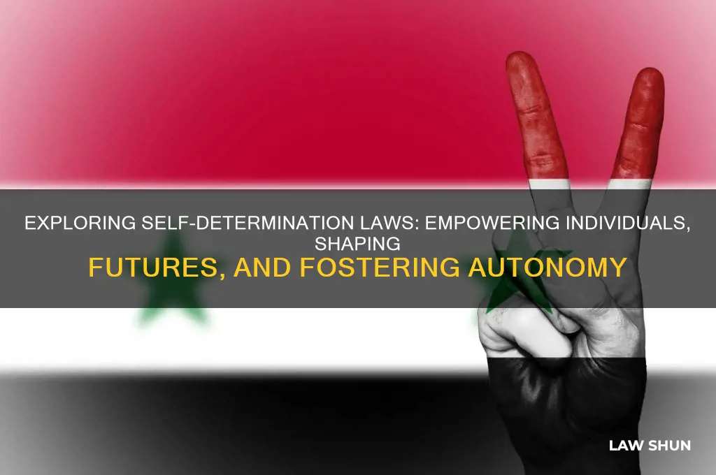 what are your feelings about the elements of self-determination laws