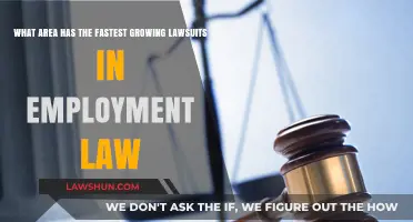 Emerging Trends: The Fastest-Growing Employment Lawsuits in Today's Workplace