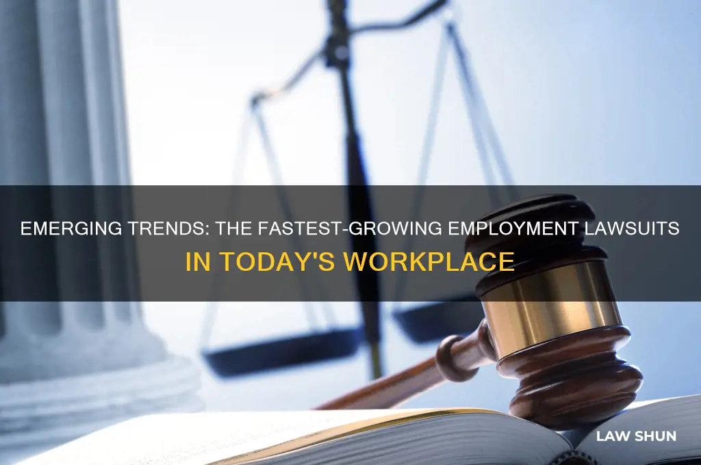 what area has the fastest growing lawsuits in employment law