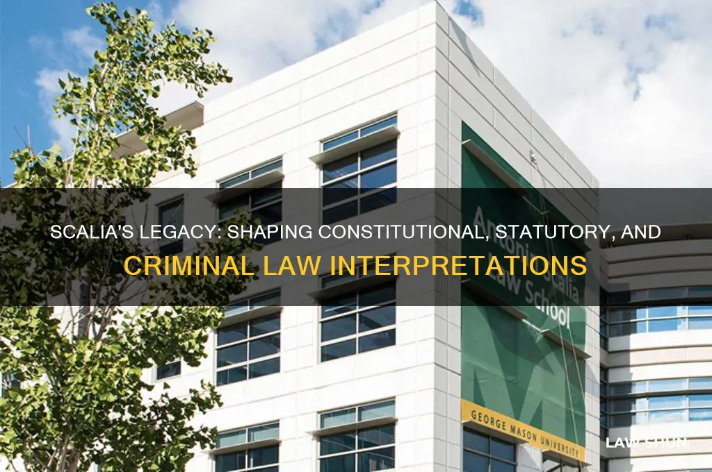 what area of law did scalia have an influence on