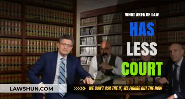 Exploring Legal Fields with Minimal Courtroom Litigation: A Comprehensive Guide