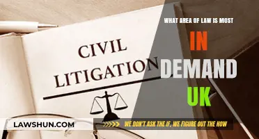 UK's Most In-Demand Legal Practice Areas
